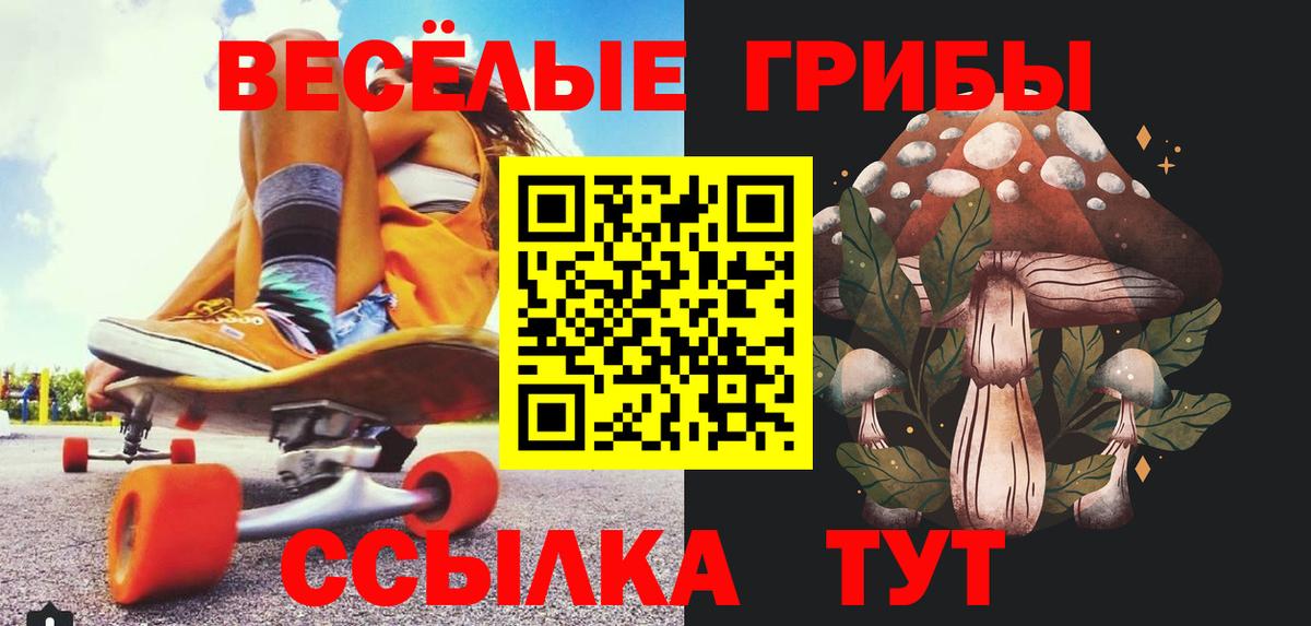Нижнекамск  Галлюциногенные грибы мухоморы  Вход с VPN 