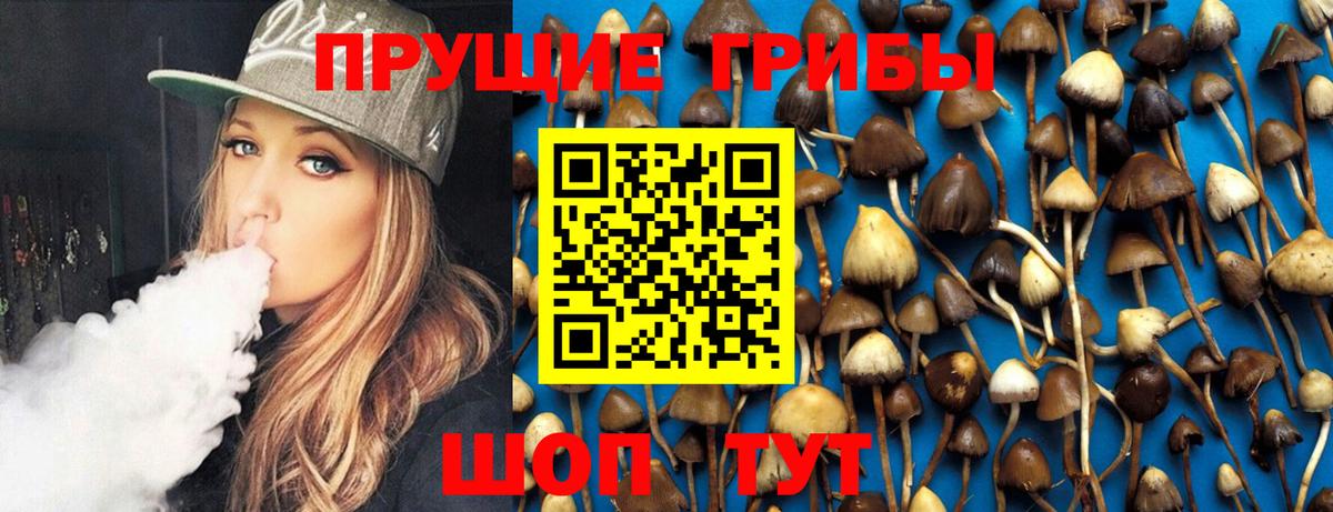 Галлюциногенные грибы GOLDEN TEACHER Нижнекамск